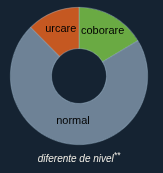 image-20260303133412728